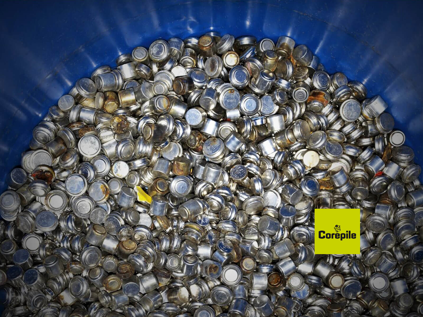 Développement des systèmes d'information et sites Internet pour Corepile